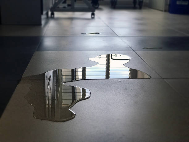 Best Water damage cleanup near me  in Macon, GA