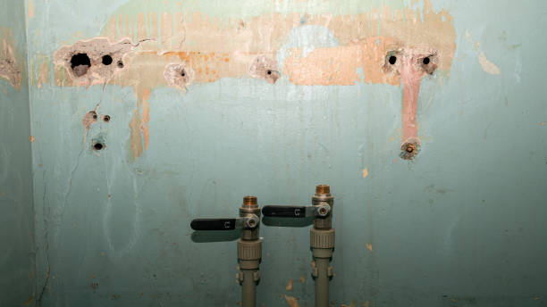 Best Water damage restoration mold remediation  in Macon, GA